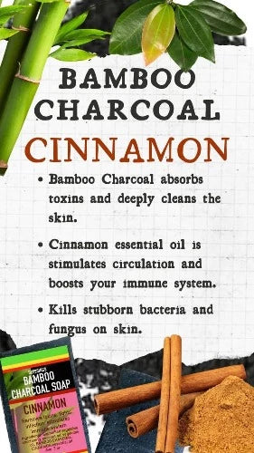 BLESSINGS ALL NATURAL BAMBOO CHARCOAL CINNAMON FACE & BODY BAR