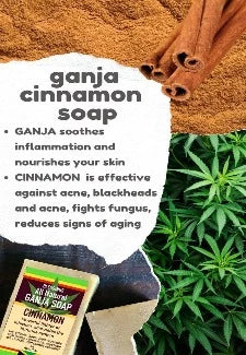 BLESSINGS ALL NATURAL HEMP CINNAMON FACE & BODY BAR