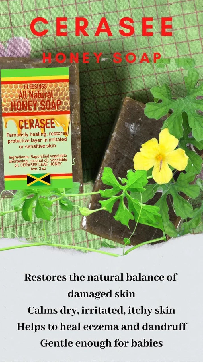 BLESSINGS ALL NATURAL HONEY CERASEE FACE & BODY BAR