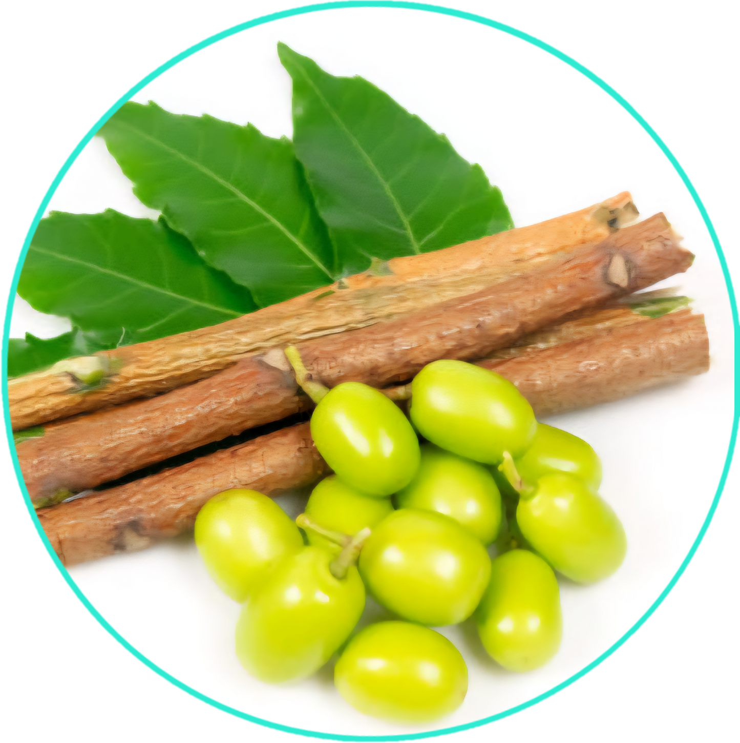 ALL NATURAL HEALING SKIN BUTTER