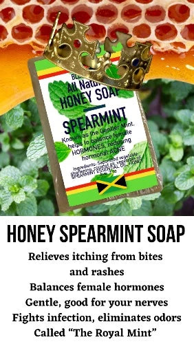 BLESSINGS ALL NATURAL HONEY ROYAL SPEARMINT FACE & BODY BAR
