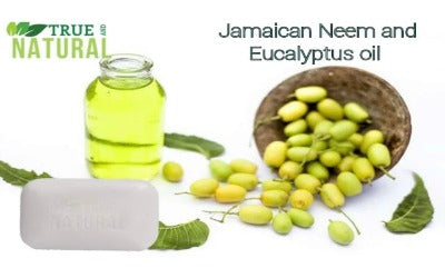 TRUE AND NATURAL JAMAICAN NEEM & EUCALYPTUS OIL FACE & BODY BAR