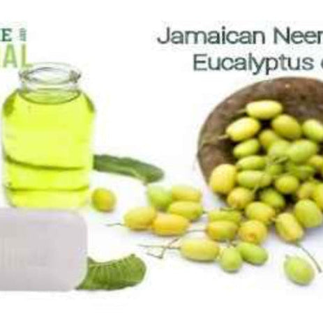 All Natural Skincare By True and Natural Soap Neem & Eucalyptus - Jamaican Naturals