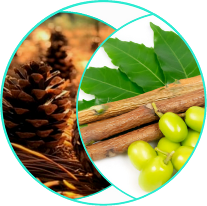 ALL NATURAL HEALING SKIN BUTTER