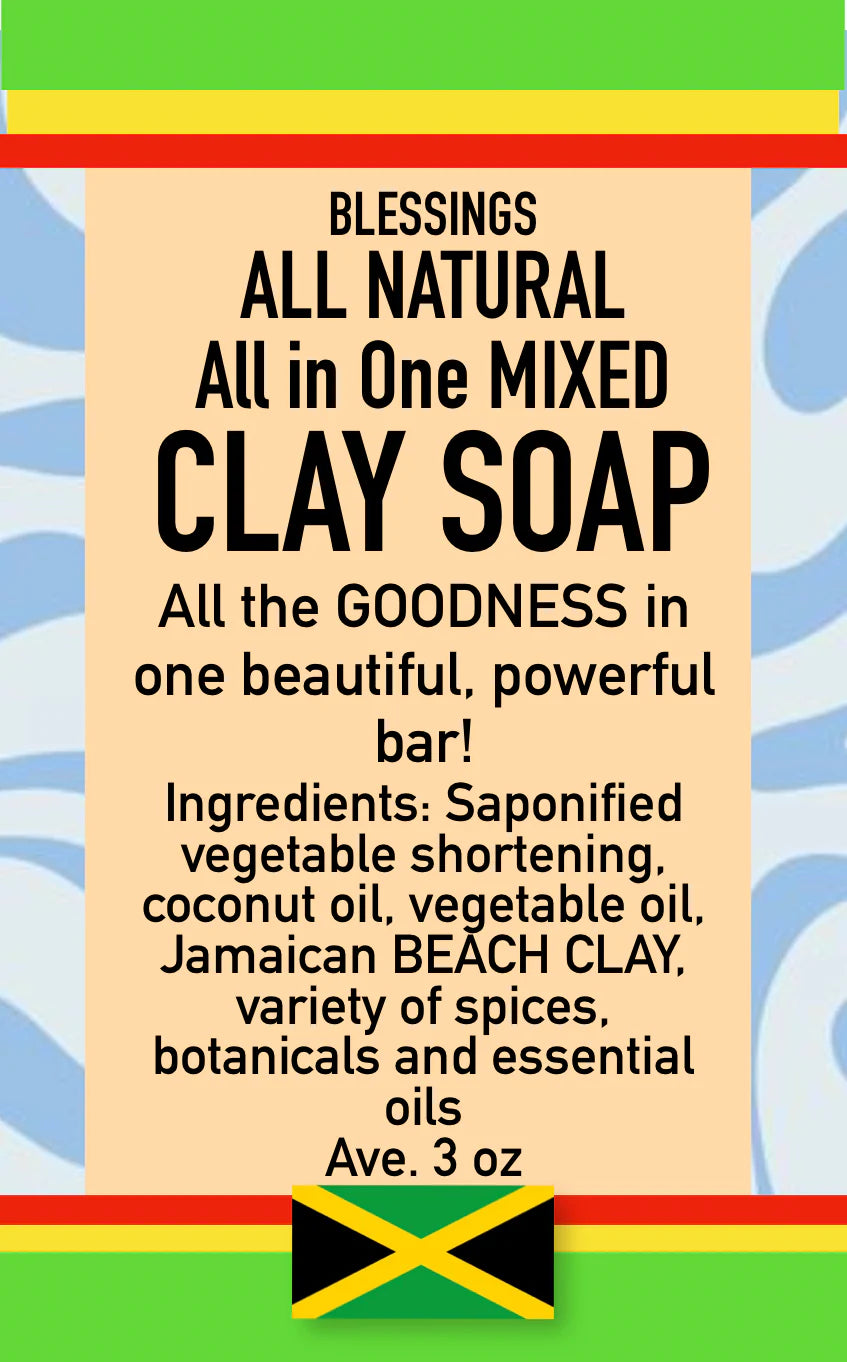 BLESSINGS ALL NATURAL BEACH CLAY ALL IN ONE FACE & BODY BAR