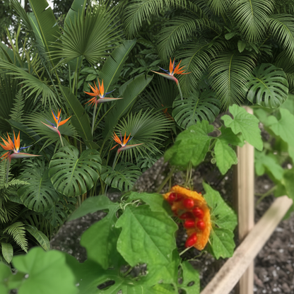 Cerasee All Natural Honey Soap