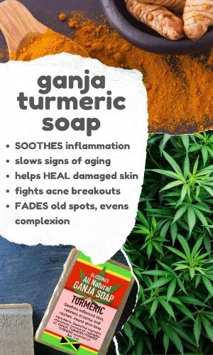 BLESSINGS ALL NATURAL HEMP TURMERIC FACE & BODY BAR