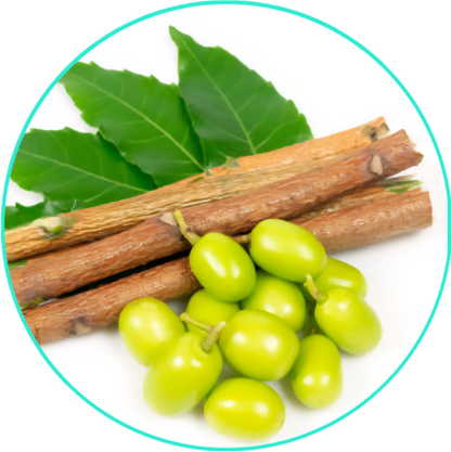 ALL NATURAL HEALING SKIN BUTTER